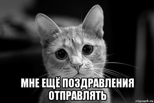 Не грусти Мем с котиком