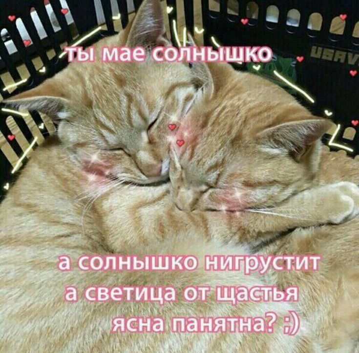 Ты солнышко пикча