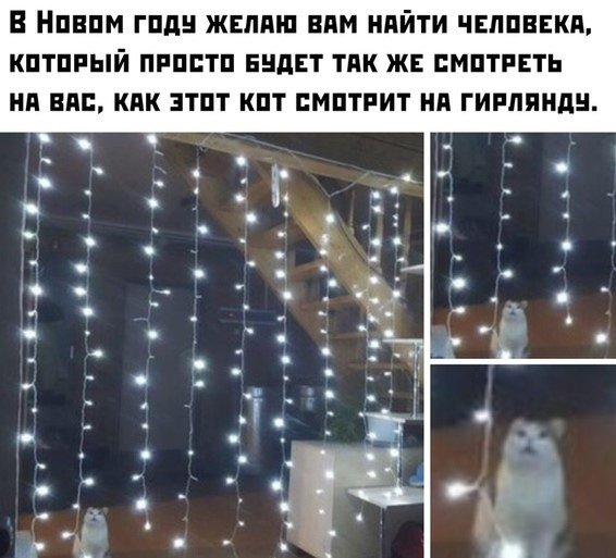 Мемы с новогодней гирляндой
