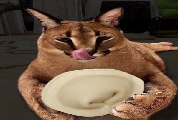 Настоящий пельмень много мяса