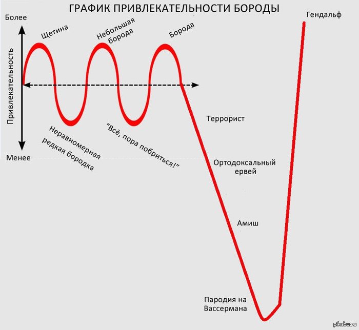 График привлекательности бороды