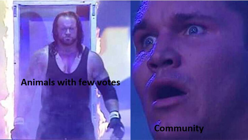 Рэнди Ортон Мем