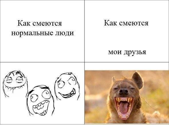 Как смеются нормальные люди