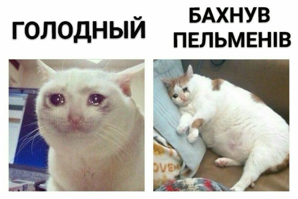 Бахнув пельменей Мем