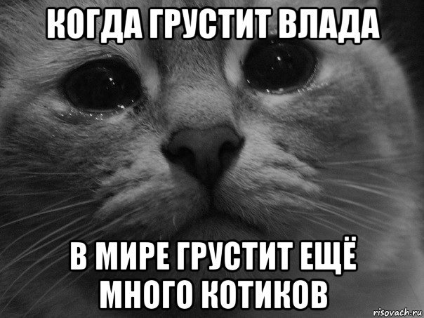 Влад котик