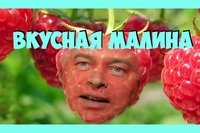 Геннадий Горин малина Мем