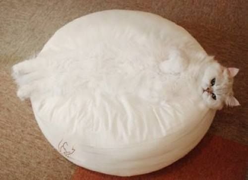 Подушка в виде вареника