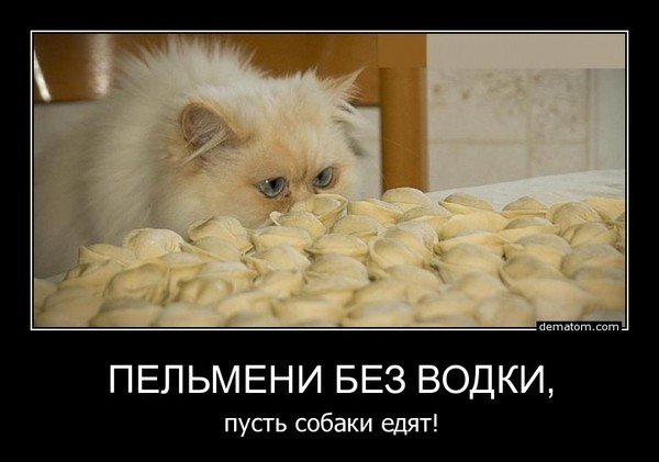 Смешные пельмени