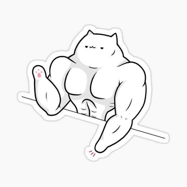 Накаченный котик