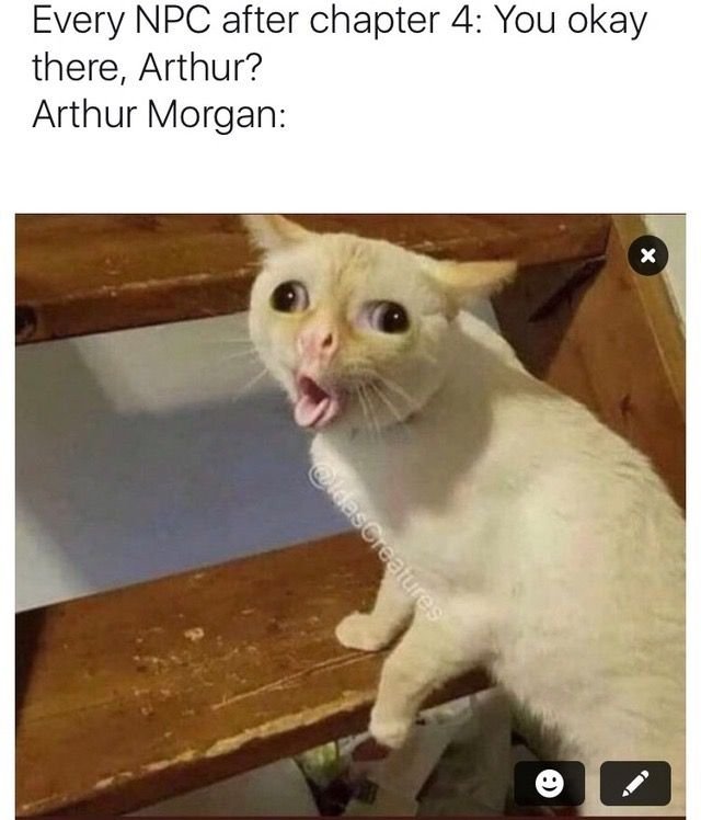 Кашляющий кот