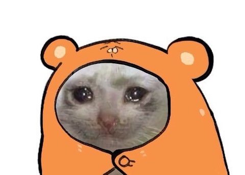 Плачущий кот