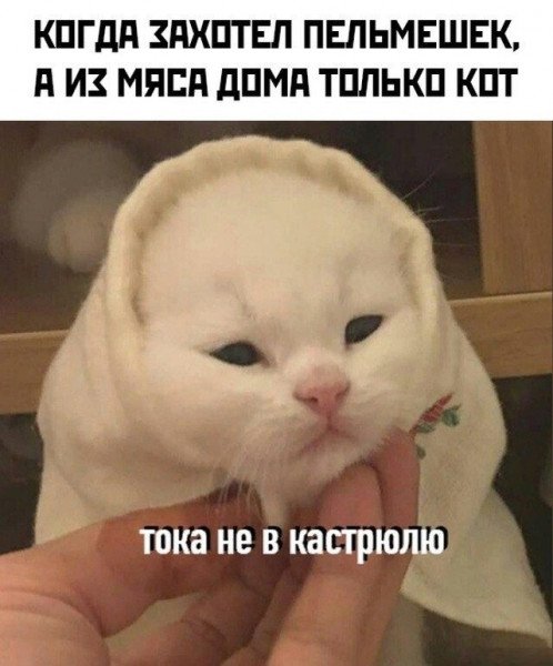 Пельменя прегрустная Мем