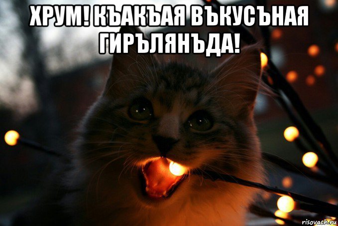 Кот в гирлянде Мем