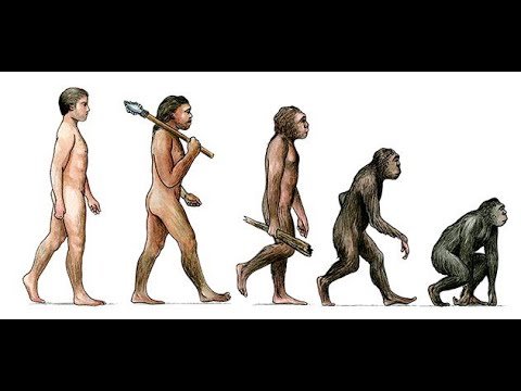 Превратиться в обезьяну