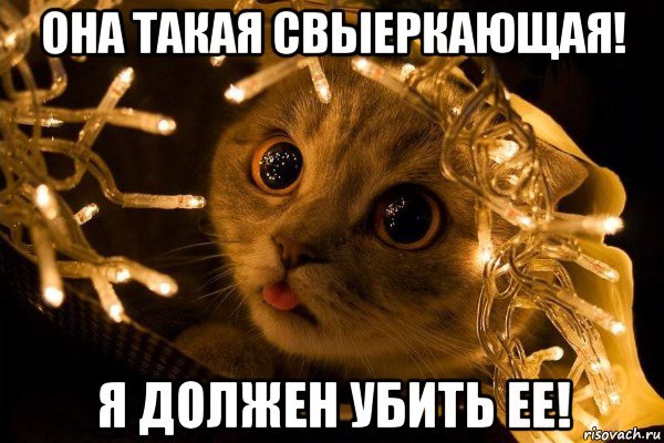 Котик в гирлянде Мем