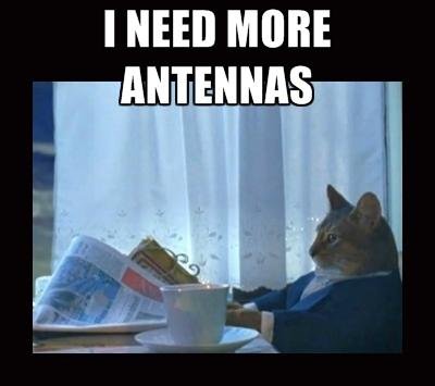 Кот с газетой за столом