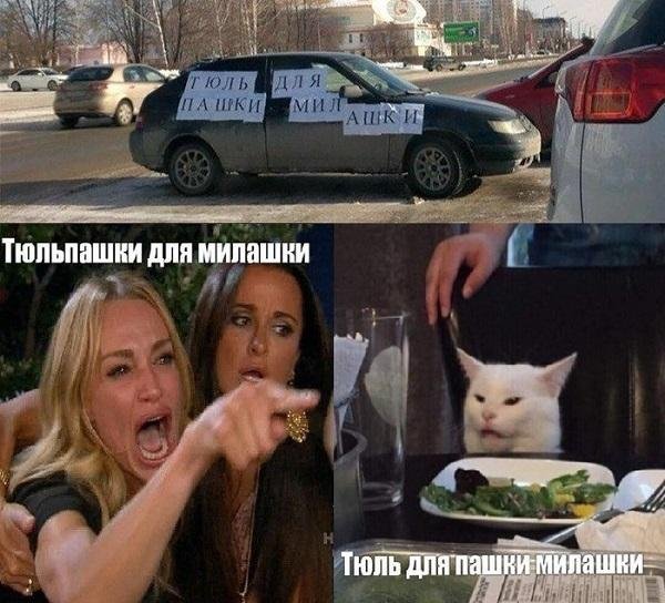 Котик и девушки