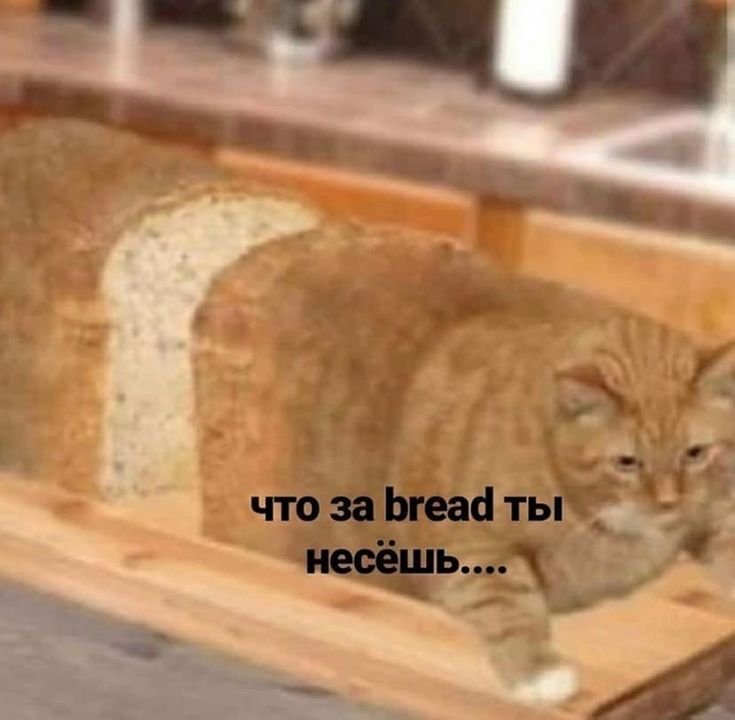 Кот Хлебушек