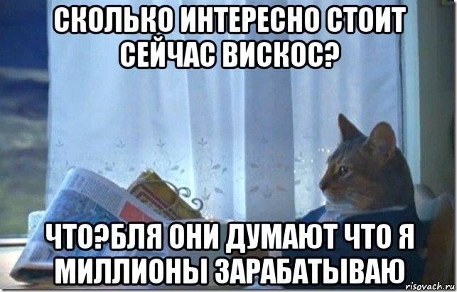 Кот читает газету Мем