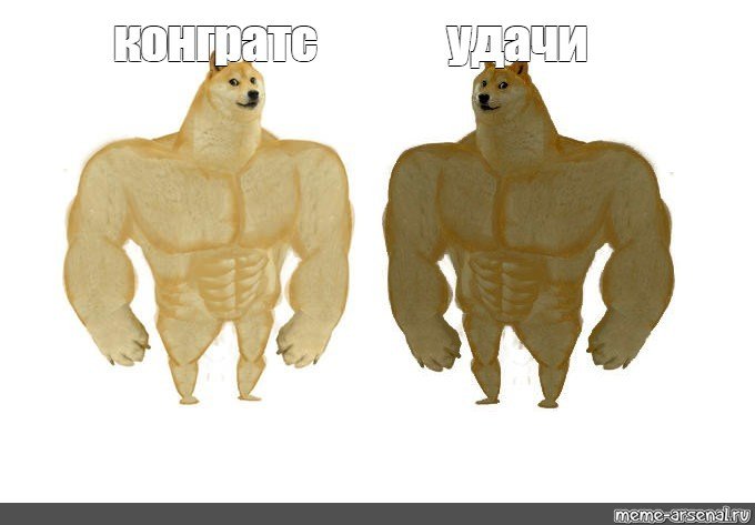 Мускулистая собака из мема