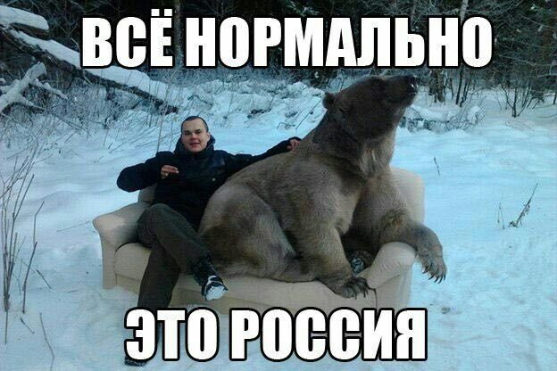 Медведь Мем