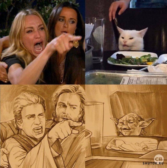 Мем с котом и дв мя девушками