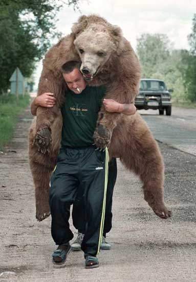 Смешной медведь