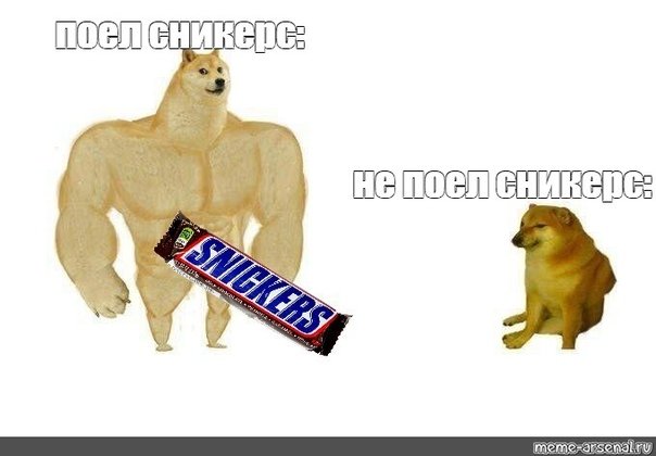 Мускулистая собака мемы