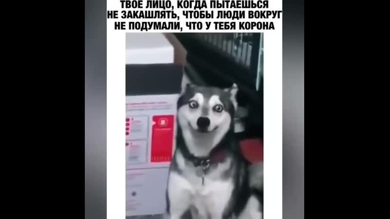 Когда пытаешься не кашлять