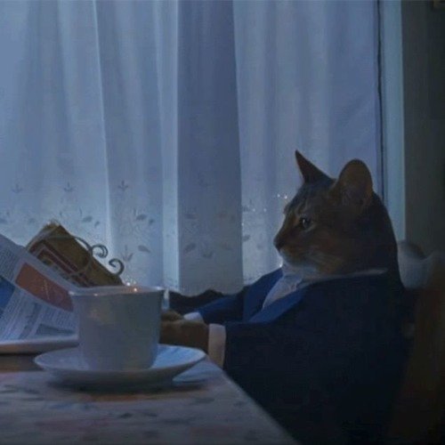 Кот с газетой Мем