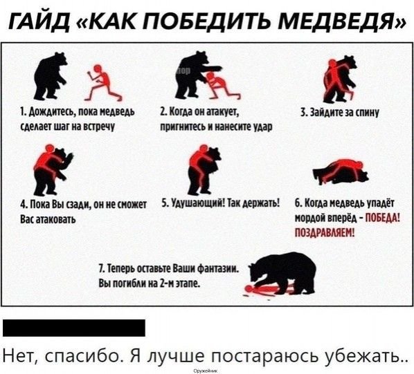 Как бороться с медведем
