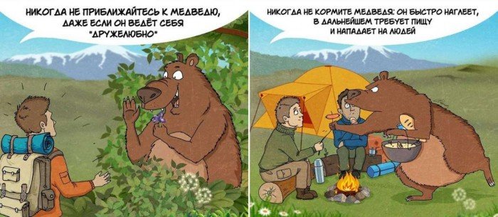 Поведение при встрече с медведем