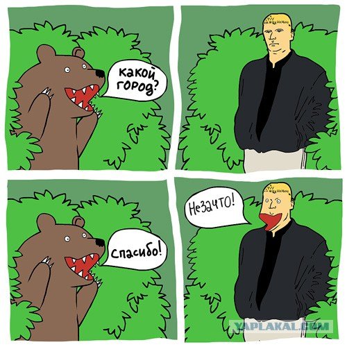 Медведь Мем