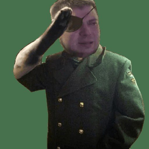 Отдать честь Мем