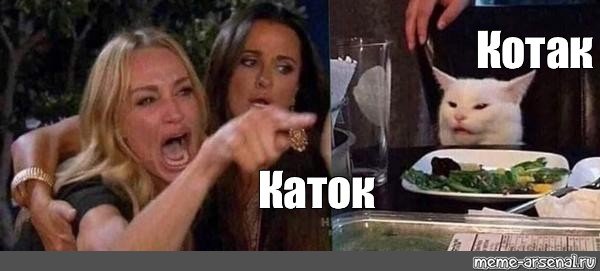 Мем с котом и девушками