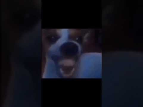 Собака громко ржет Мем