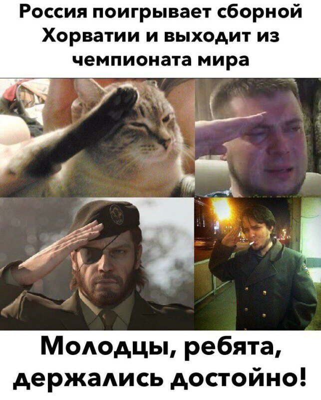 Кот отдает честь картинки