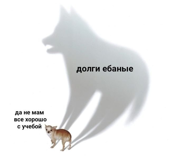 Меп аоюака и тень собаки