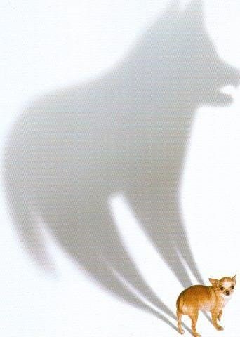 Собака тень