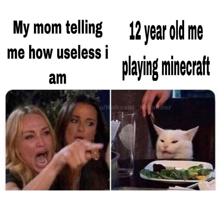 Мемы с двумя девушками и котом