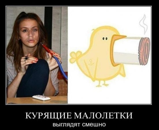 Клеить телок