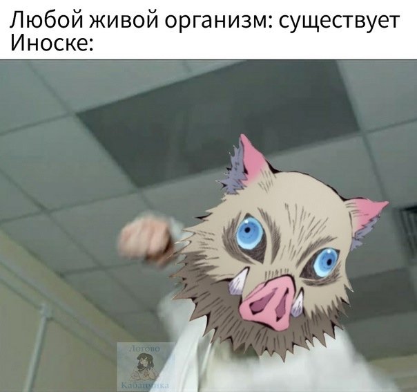 Иноске смешной