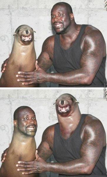 Здоровый негр на кровати