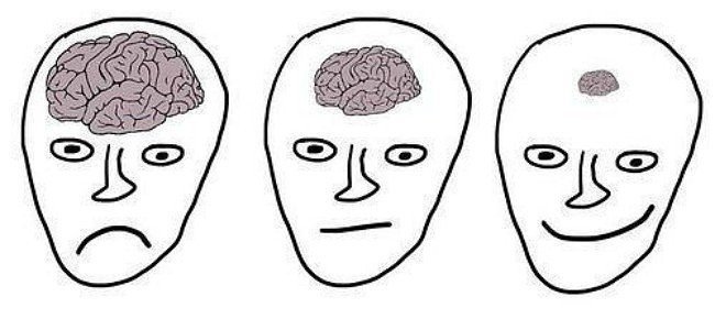 Мозг умного человека и тупого