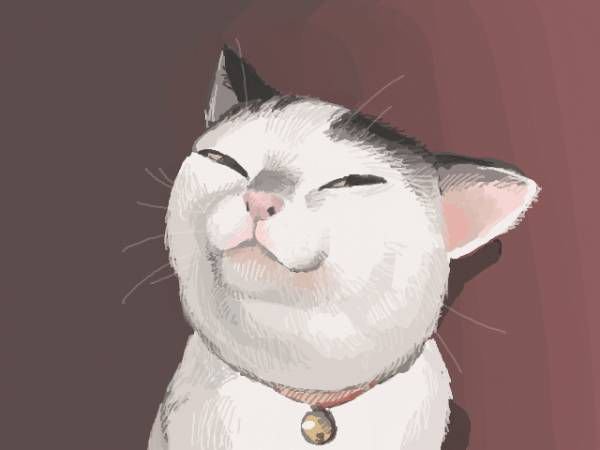 Хитрый довольный кот