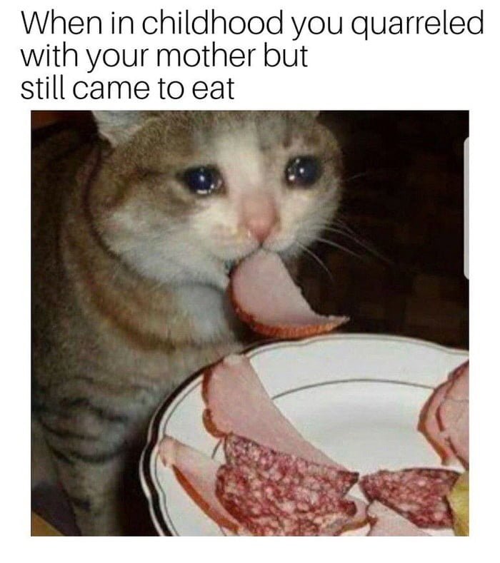 Кот ест и плачет