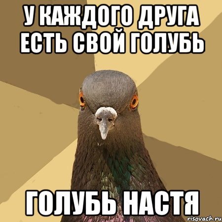 Настя голубь