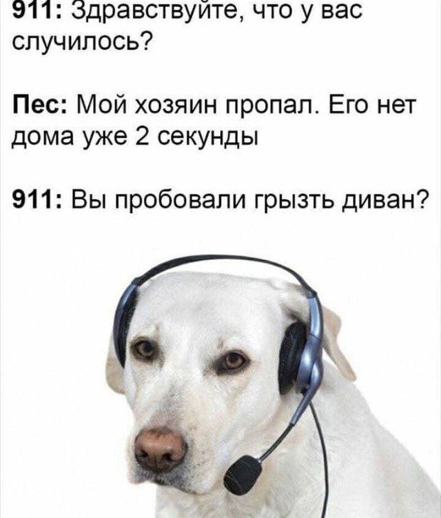 Техподдержка мемы