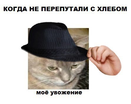 Мемы со шляпой