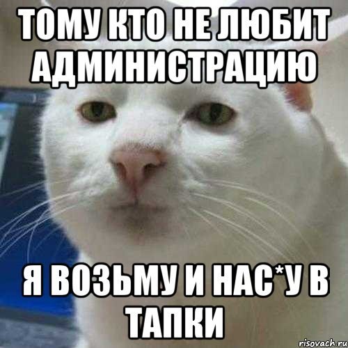 Приемлемо Мем кот оригинал